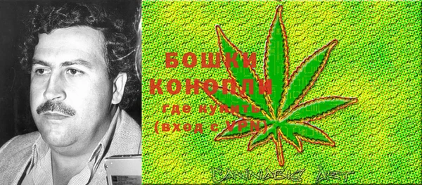 гашик Богданович
