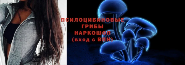 apvp Богородск