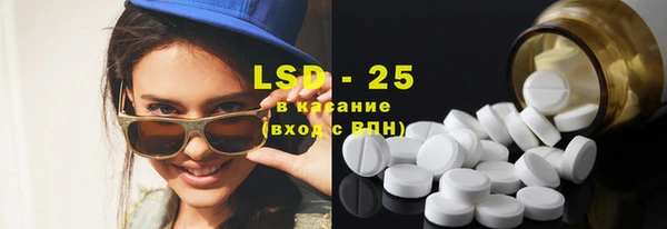 гашик Богданович