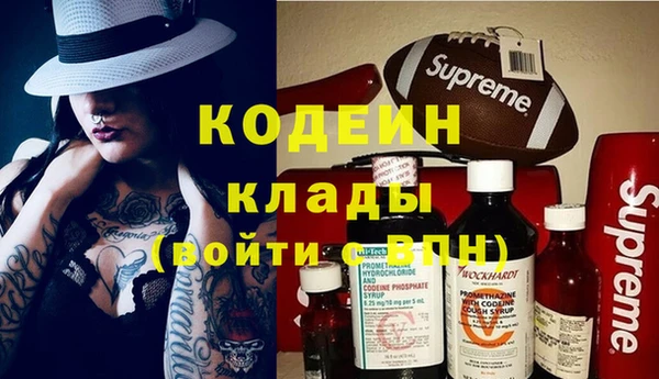 шишки Беломорск
