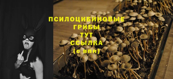 гашик Богданович