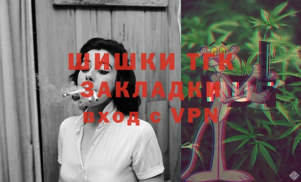 дживик Бородино