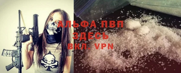 гашик Богданович