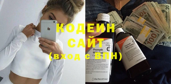 дживик Бородино