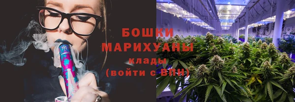 дживик Бородино