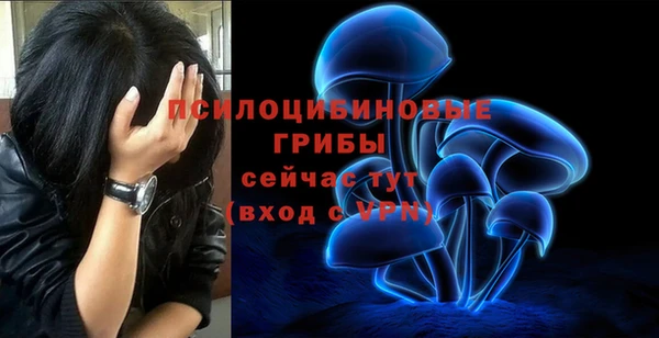 бошки Сатка